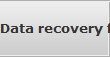 Data recovery for Westbrook data